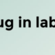 Plug in labs