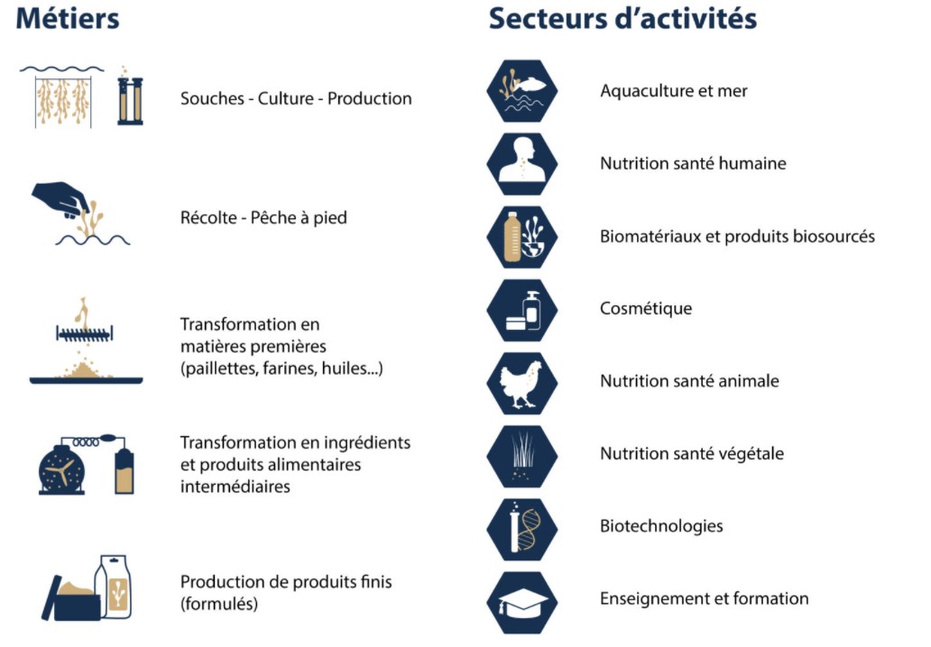 Métiers et activités